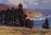 Anna Hills July Afternoon,Laguma Beach oil painting artist